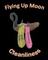 An image of a goose rests on a black background. A pink and a yellow feather are imposed on the goose. Both have colourful thread tied at their base and strings of tiny coloured beads draped around them. The yellow feather has a green butterfly painted on it, while the pink feather has the words “Trees sway in the wind” written on it. Above the goose and feathers are the words “Flying up moon” and beneath is the word “Cleanliness.”