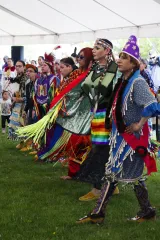 A group of people wearing colourful Indigenous regalia dancing in a line inside a tent on grass.