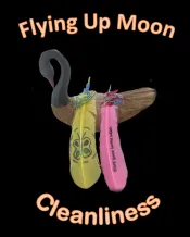 An image of a goose rests on a black background. A pink and a yellow feather are imposed on the goose. Both have colourful thread tied at their base and strings of tiny coloured beads draped around them. The yellow feather has a green butterfly painted on it, while the pink feather has the words “Trees sway in the wind” written on it. Above the goose and feathers are the words “Flying up moon” and beneath is the word “Cleanliness.”