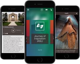Three smartphones are posed together, facing the camera. Each phone has an image from the Museum’s Journey of Inspiration app. 