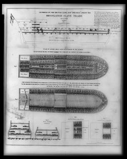 An illustration showing the deck plans and cross-sections of a ship that is completely filled with enslaved people lying shoulder to shoulder.