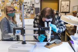 Two people wearing blue gloves and face masks stand at a table; one of them is peering through a microscope at a grey, wooden object.