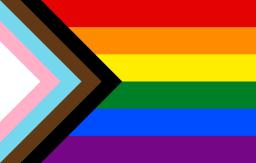 Flag consisting of rainbow-coloured horizontal stripes filling the right-hand two-thirds (from top to bottom: red, orange, yellow, green, blue and purple) and a right-angled set of stripes on the left side forming a triangular shape pointing right (from centre to edge: white, pink, light blue, brown and black).