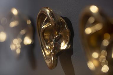 Life-sized sculptures of golden human ears are affixed to a wall.