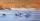 A group of geese standing on ice and snow bordered by prairie grasses. The image has been digitally altered: from left to right it becomes increasingly blurred and abstract.