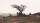 Several people and one dog sitting and standing in a landfill. A tree sits in the centre of the image and garbage is strewn on the ground.
