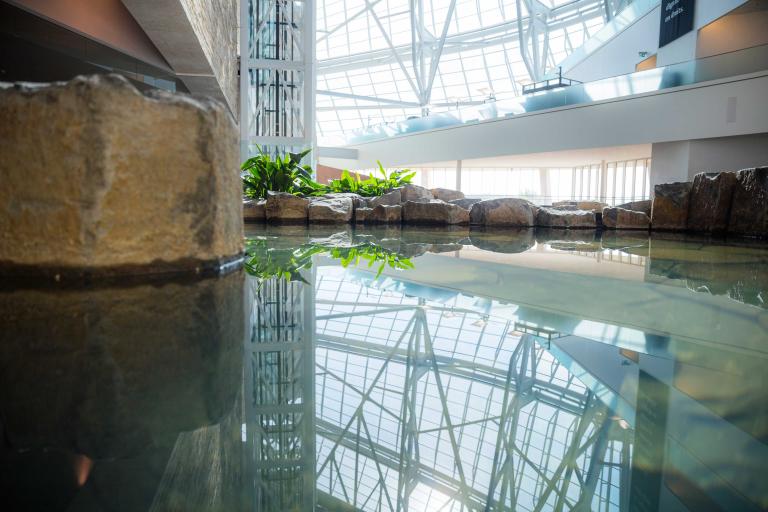 The Stuart Clark Garden of Contemplation in the Museum Partially obscured.