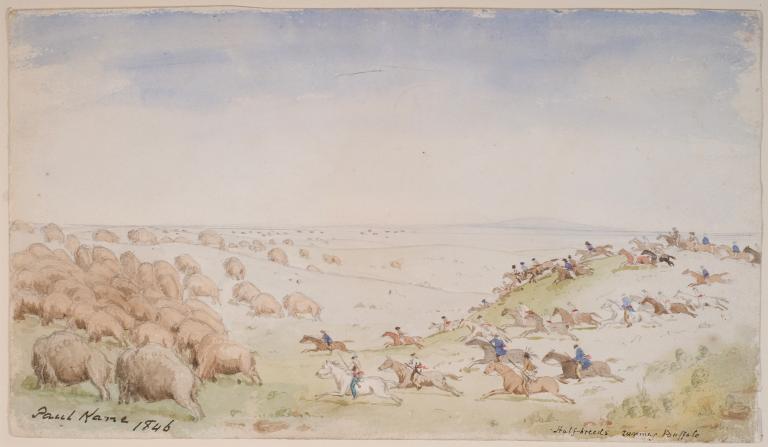 Riders on horseback with arrows and lances drawn ride across a rolling prairie landscape towards a herd of buffalo. Partially obscured.