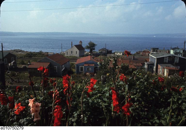 A group of wooden houses next to a large body of water with red flowers in the foreground. Partially obscured.