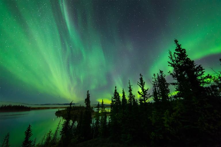 The night sky is lit up green, yellow and blue with Northern lights. There are large, tall trees on the right-hand side of the image and a lake to the left. Partially obscured.