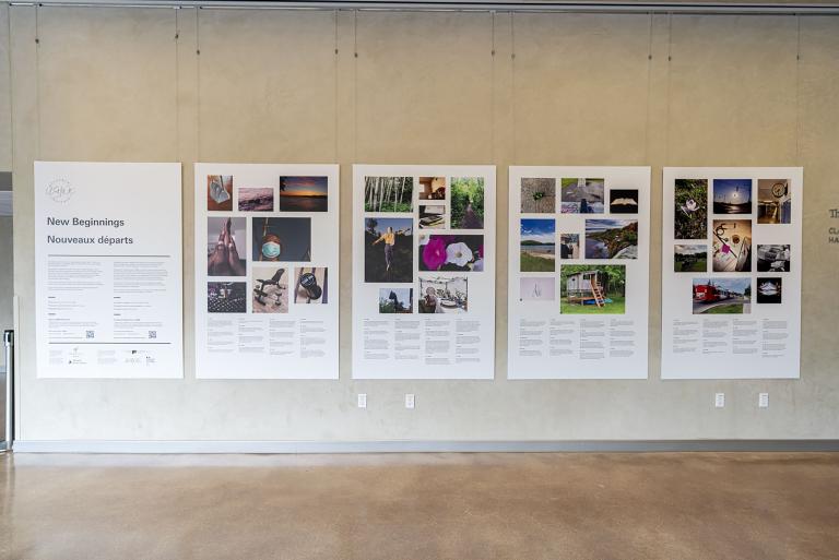 Five panels are hung on a wall. The panels contain written text and images.