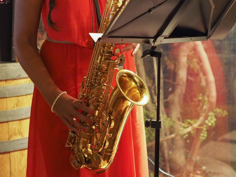 A female musician dressed in a red, sleeveless dress is playing a gold saxophone. Partially obscured.