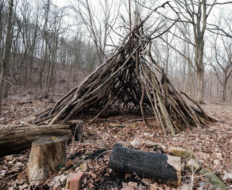 A traditional Indigenous structure, commonly called a tipi, made of sticks sits on a leaf-strewn forest floor, surrounded by cut logs. Partially obscured.
