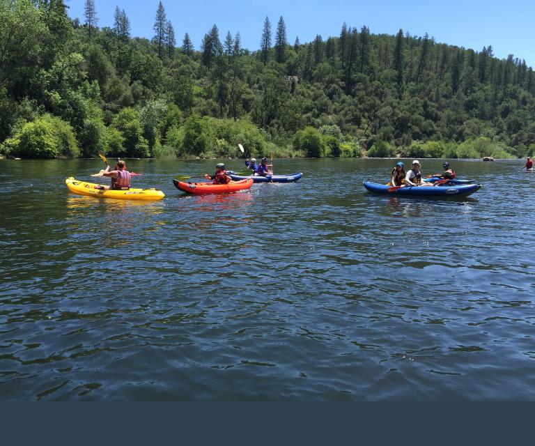 Kayakers paddling colourful kayaks (yellow, orange and blue) on a calm river, with a forested hillside of pine and oak trees under a clear blue sky in the background. Partially obscured.