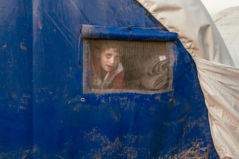 A young boy in a red and white zip-up sweater looks though a screen towards the camera, from inside a blue tent. A folded gray blanket is to the right of him. The covering is rolled up and tied secure at the top of the screen. Partially obscured.