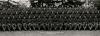 Several dozen men in military uniforms.